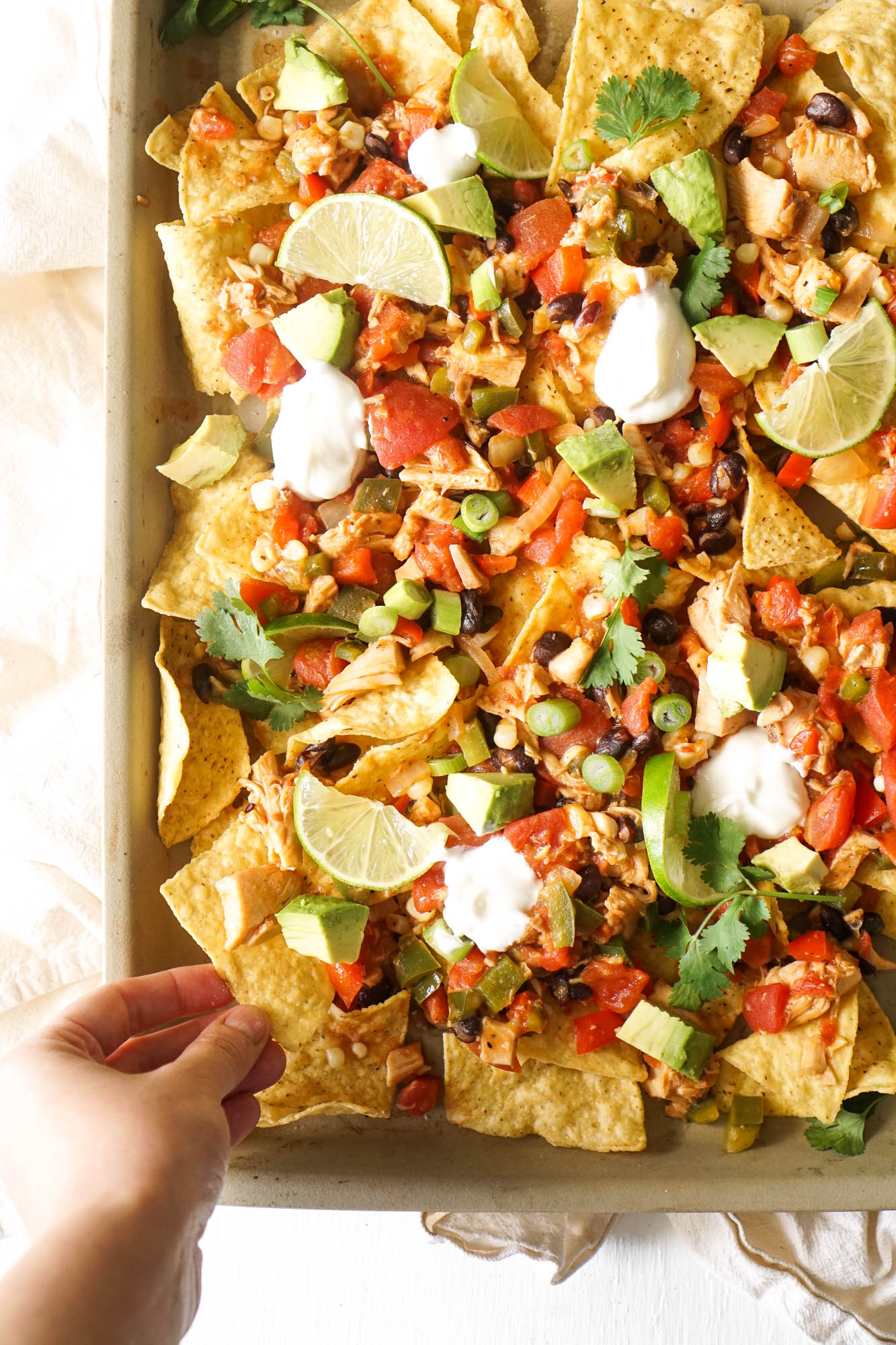 My FAVORITE Chicken Nachos